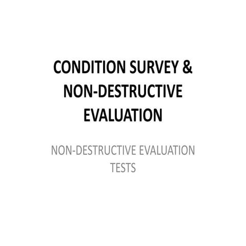 Condition survey and nde