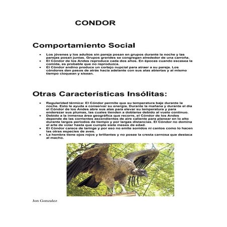 Condor andino . | PPTX