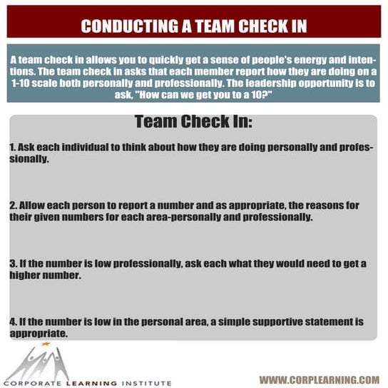 Conducting a Team Check In: Worksheet 