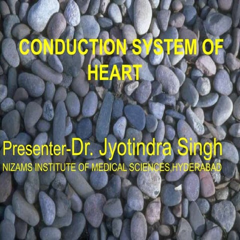 Conduction system of heart