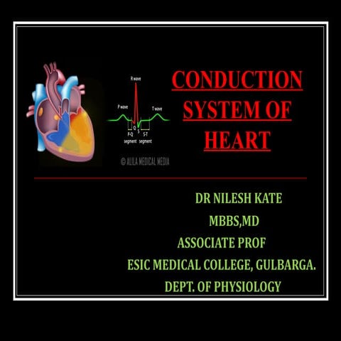 CONDUCTION SYSTEM OF HEART