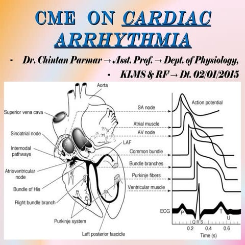 Conductive system of heart