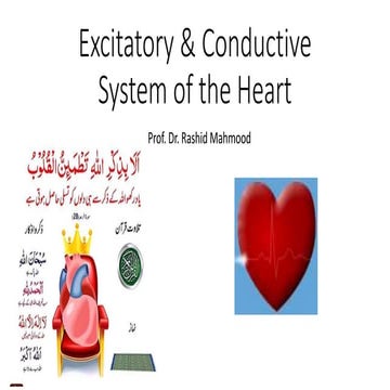 Conductive system of the heart rmc 2