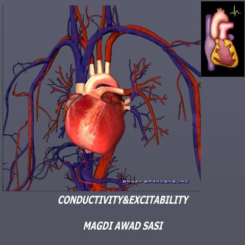 Conductivity and excitabilitry  limu  ms 2017.2 nd year