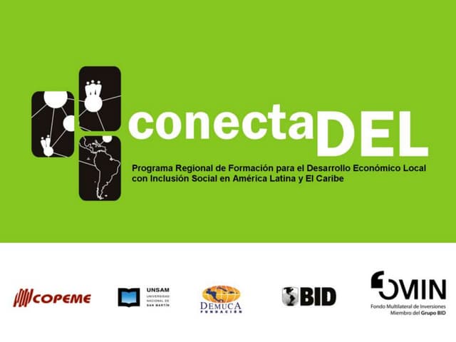 Presentación de avances ConectaDEL 2012