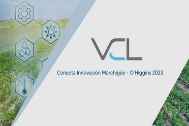 Conecta Innovacion Agro - Marchigue.pdf