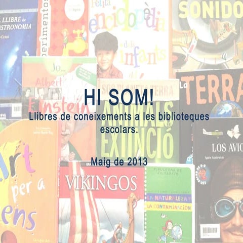 Coneixements bam maig2013