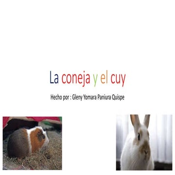 coneja y el cuy 2DYTEREREREFGFGFFFGRERERERER