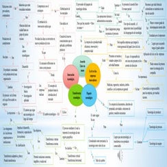 mapa conceptual de la innovacion tecnologica