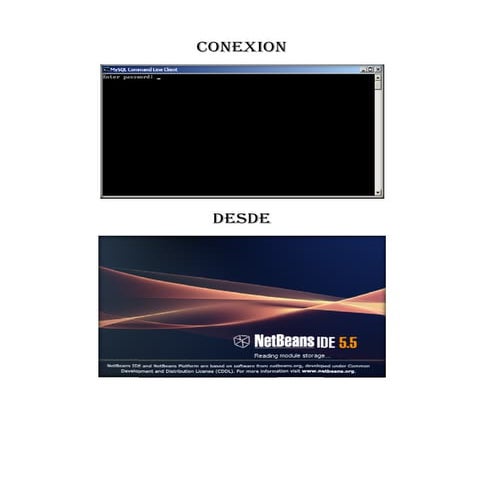 ConexióN Mysql Desde Netbeans