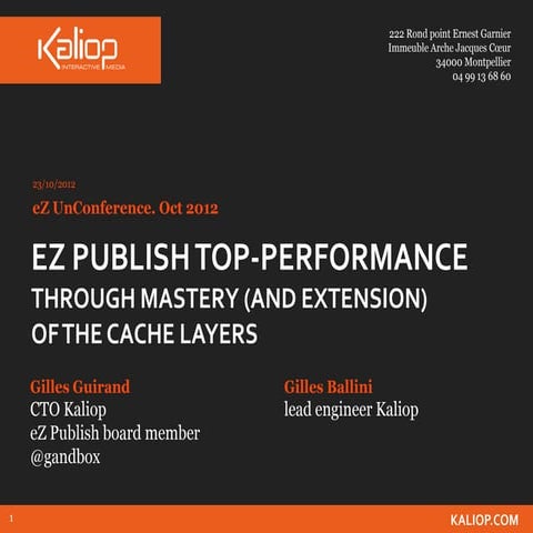 eZ UnConference - Z Publish top-performance through mastery (and extension) o...