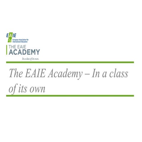 EAIE Academy info session CPH conference