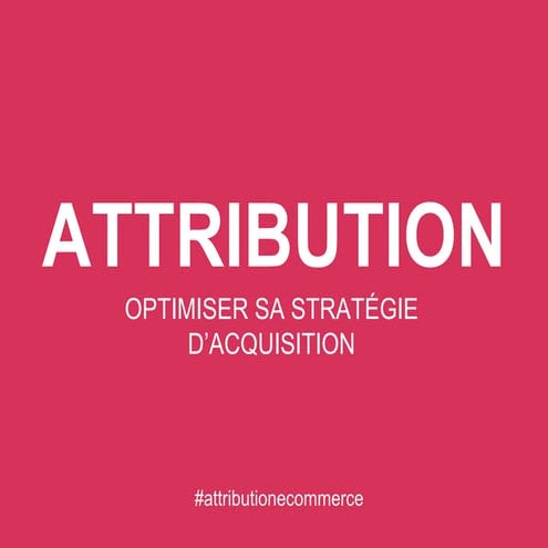 Optimiser sa stratégie d'acquisition (conférence E-commerce Paris 2014, Flori...