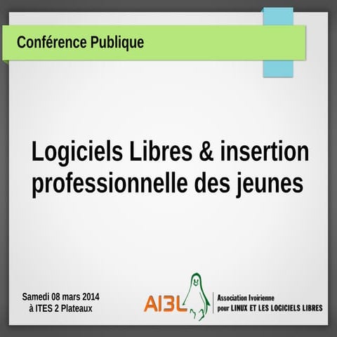 Conférence : 10 recommandations pour reussir l'insertion professionnelle par ...