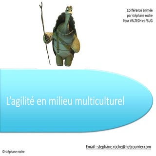 Stéphane Roche - Agilité en milieu...