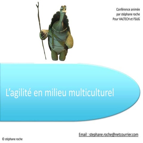 Stéphane Roche - Agilité en milieu multiculturel
