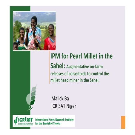 IPM for Pearl Millet in the Sahel: Augmentative on-farm releases of parasitoi...