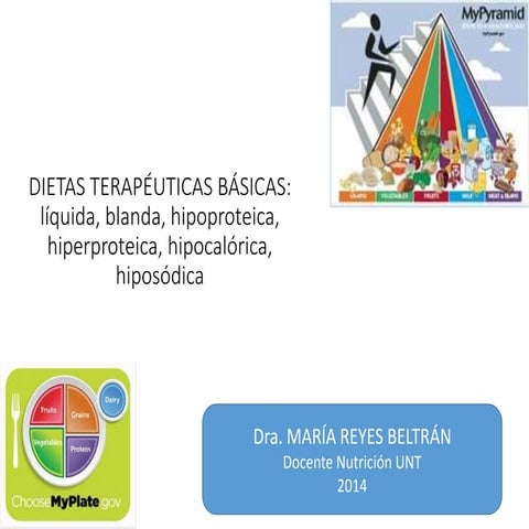 Dietas terapeuticas