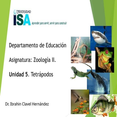 Conferencia numero 7. Anfibios y Reptiles.ppt