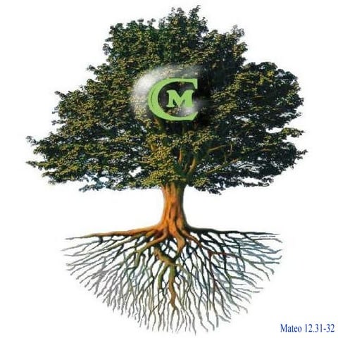 Conferencia comunidad cristo