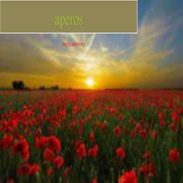 Conferencia maquinaria ag ri cola