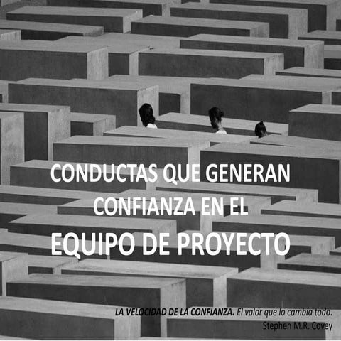 Generar Confianza en el Equipo de Proyecto