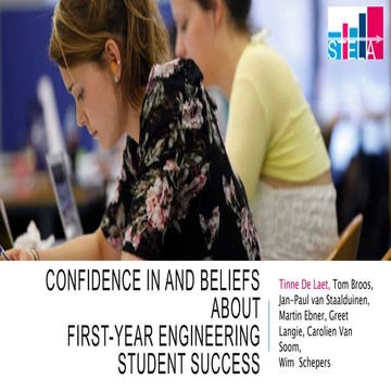 Confidence in and beliefs about first year engineering student success