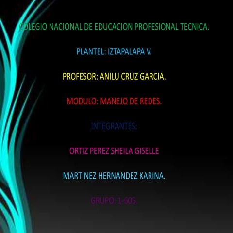 Configuracion de parametros para el establecimiento de la seguridad y protecc...