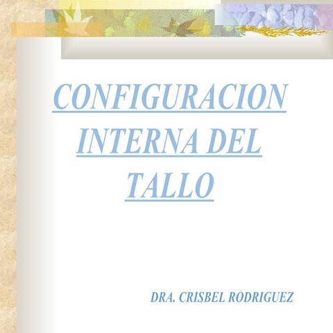 Configuracion interna del tallo