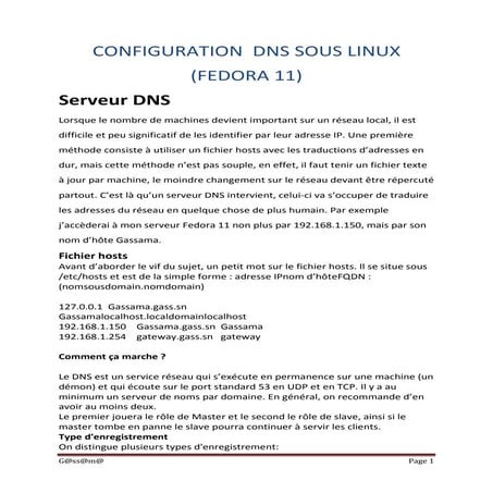 Configuration dns sous linux | DOCX