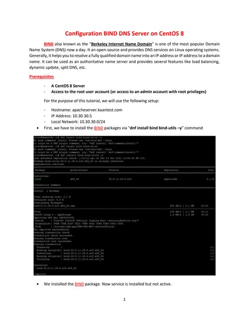 Configuration of BIND DNS Server On CentOS 8