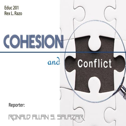 Cohesion and Conflict | PDF