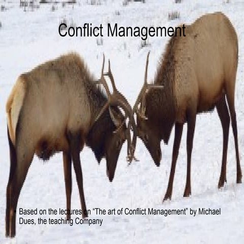 Conflict management