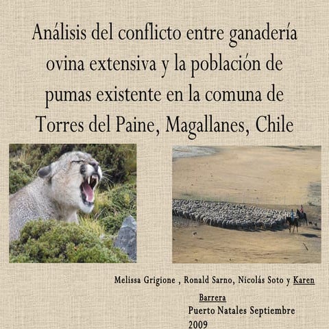 Conflicto Ganaderia y Pumas Torres del Paine Karen Barrera