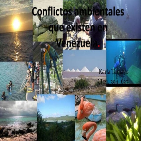 Conflictos ambientales que existen en venezuela