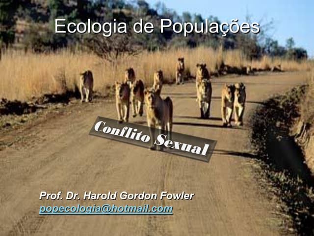 Conflito sexual