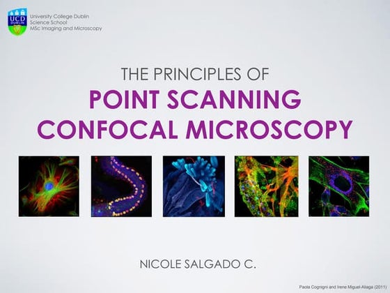 Confocal microscopy | PPTX | Eye and Vision Conditions | Diseases and ...