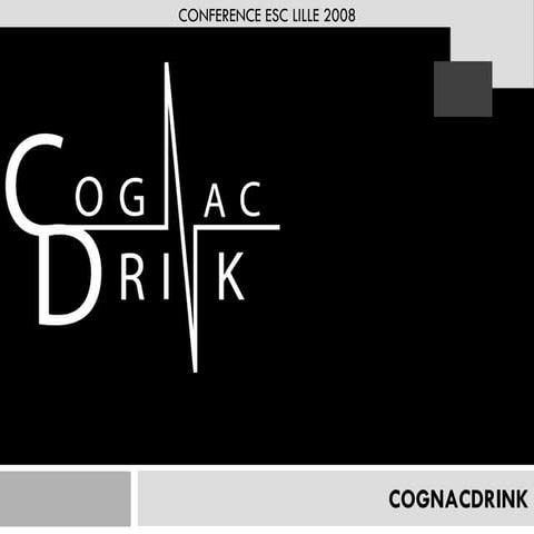 Conference Bertrand Meslier Esc Lille 2008