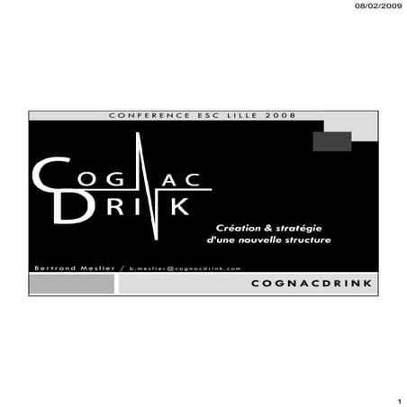 Conference Bertrand Meslier Esc Lille 2008