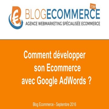 Ecommerce : Conseils et solutions avec Google AdWords