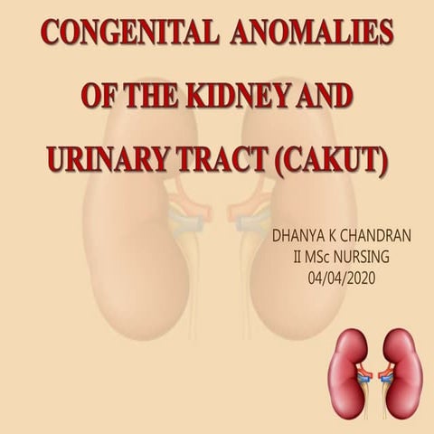 Congenital  anomalies of the kidney and urinary tract