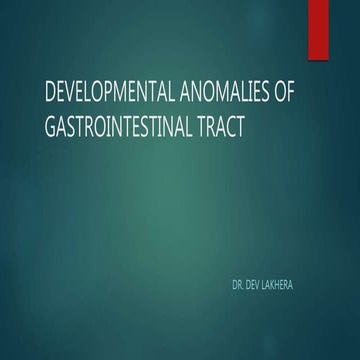 Congenital gastrointestinal  anomalies