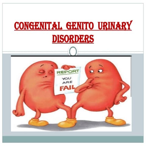 congenital genitourinary disorders.pptxtuu | PPTX