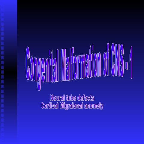 congenitalmalformationofcns-100618013845-phpapp01.pdf