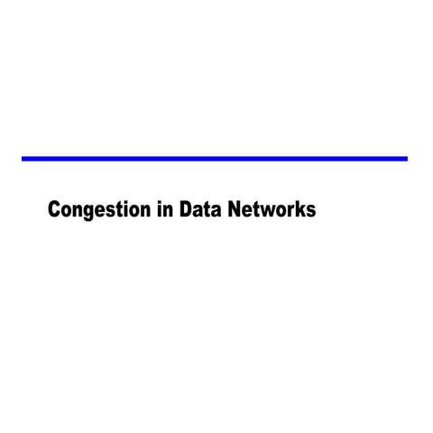 Congestionin Data Networks
