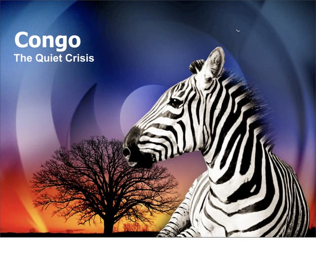 Congo: The Quiet Crisis