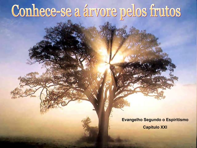 Conhece se a árvore pelos frutos gec 03-09-2011 | PPT