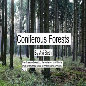 Coniferous Forests - Avi Seth.pptx