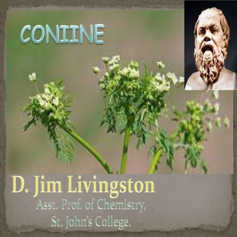 Coniine - Structural elucidation