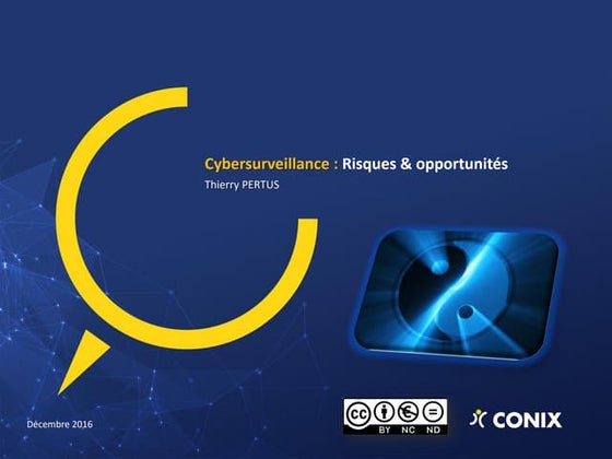 Thierry Pertus, Information security risk officer